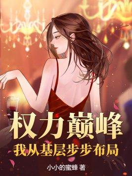 权力巅峰我从基层步步布局 第747章