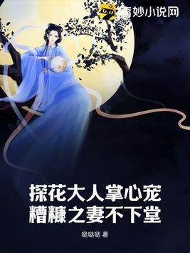 一部引起网络热议的探花作品