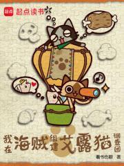 我在海贼组建艾露猫调查团起点中文网