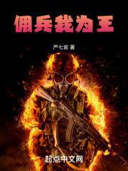 佣兵我为王免费TXT