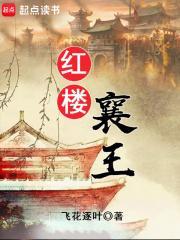 红楼襄王TXT电子书