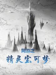 网游之精灵宝可梦全本