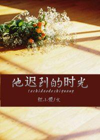 他迟到的时光作文