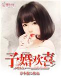 予婚欢喜txt作者陆寒