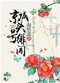 京城头号绯闻全文免费