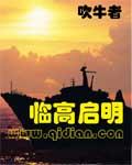 临高启明论坛