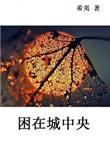 困在城中央 希夷讲的什么