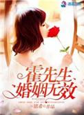 霍先生婚姻无效 笔趣阁