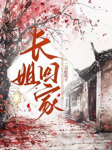 长姐回家作者二月红火