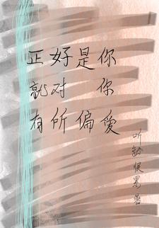 对你何止是偏爱