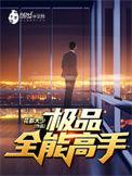 极品全能高手免费阅读全文