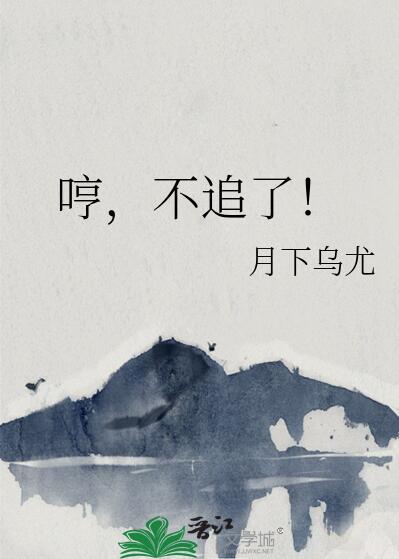 不再追了
