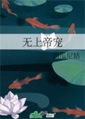 无上帝宠简介
