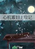 心机寡妇上位记讲的什么