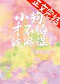 小狗怕不怕雨淋