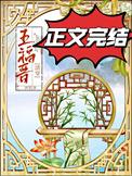 福晋日常(清穿)