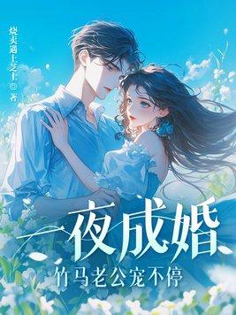 竹马老公宠不停