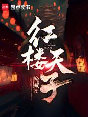 红楼天子TXT