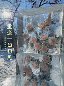 相逢如初见回首是一生是什么意思