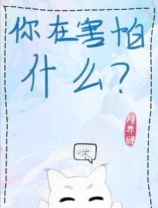 小猫咪吧