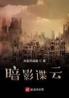 暗影谍云123读