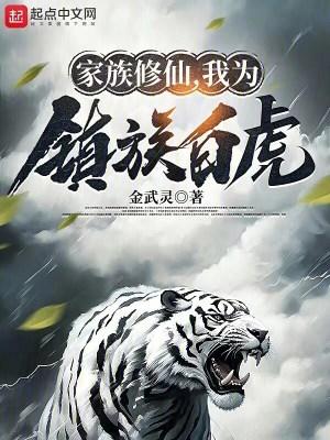 家族修仙我为镇族白虎