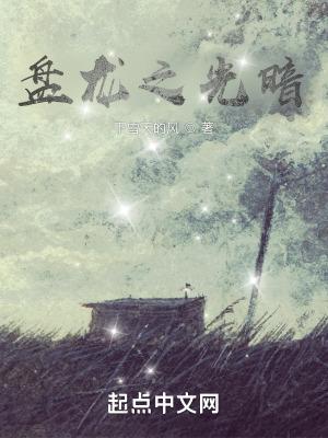 盘龙之光暗全文TXT免费