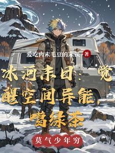 冰河末日觉醒空间异能噶绿茶三月天