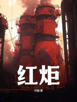 红炬锅炉怎么样