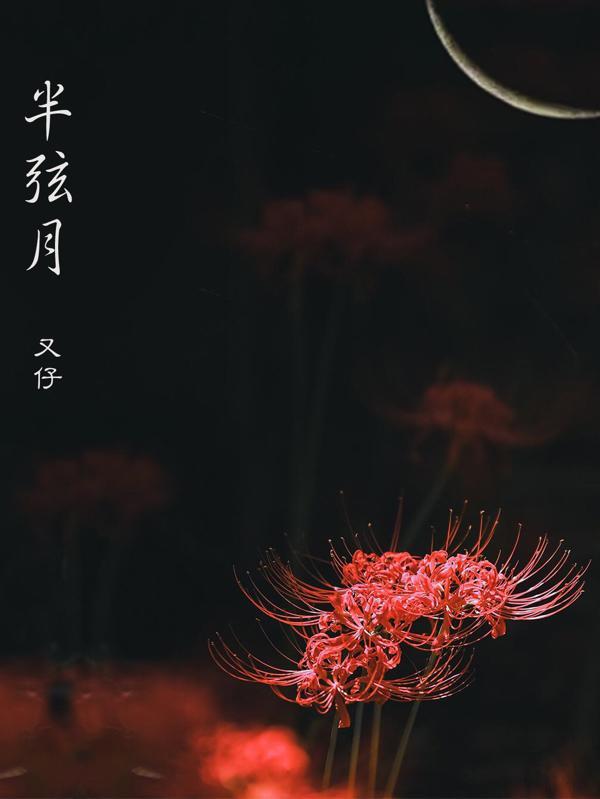 半弦月最建议买的三个产品