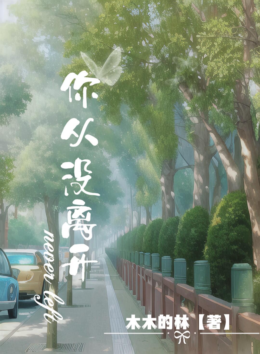 从来没结果周杰伦是什么歌