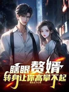 赘婿主角