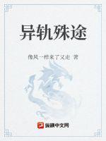 异轨殊途美剧