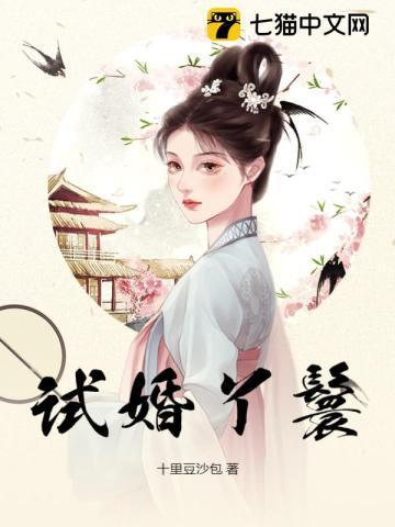 试婚丫鬟姜淑沐缘一顾如烟