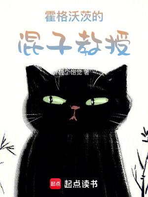 霍格沃兹中的教授
