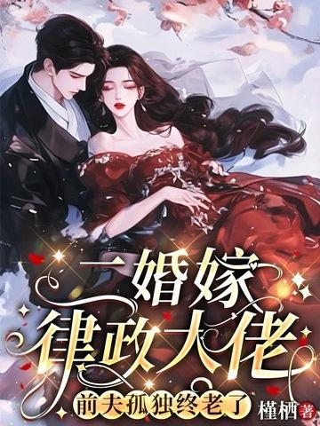 二婚嫁律政大佬