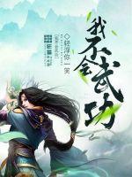 我不会武功 6