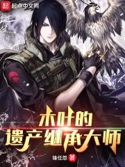 木叶的遗产继承大师书评
