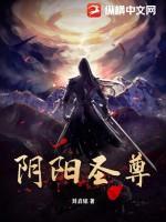 阴阳圣尊TXT全本