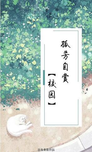 孤芳自赏之