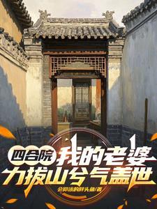 四合院我的老婆力拔山兮气盖世全文阅读