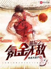 篮坛之氪金无敌笔趣阁