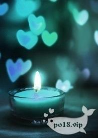 剧本的世界(np)239