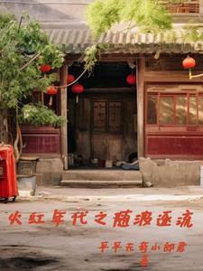 四合院开局到街道办工作无弹窗