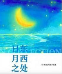 日东月西之处 红烧