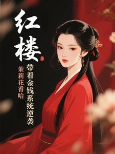 带着红楼到红楼正版阅读