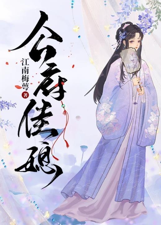 公府佳媳好看吗