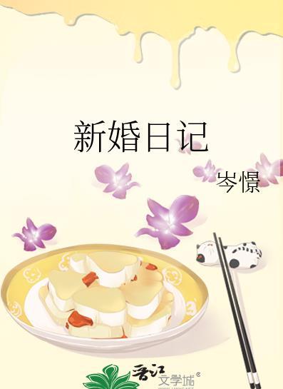 新婚日记讲的什么