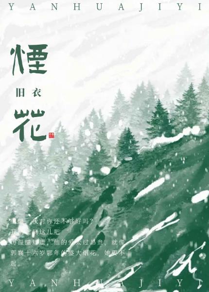 烟花艺术引争议
