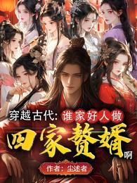 穿越古代谁家好人做四家赘婿啊TXT